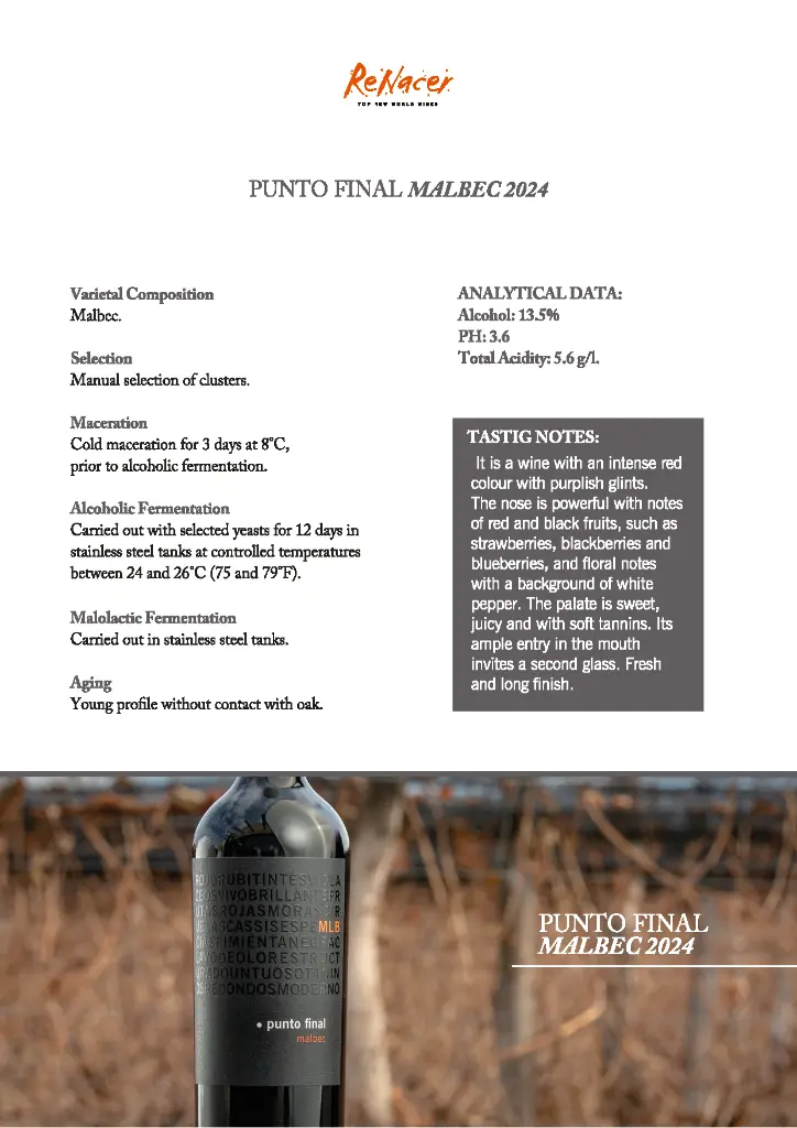 Renacer - Punto final Malbec 2024 - TS.webp